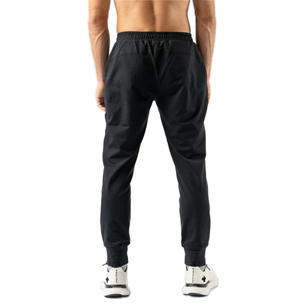 Back model view of Rabbit EZ Jogger Pant for men.